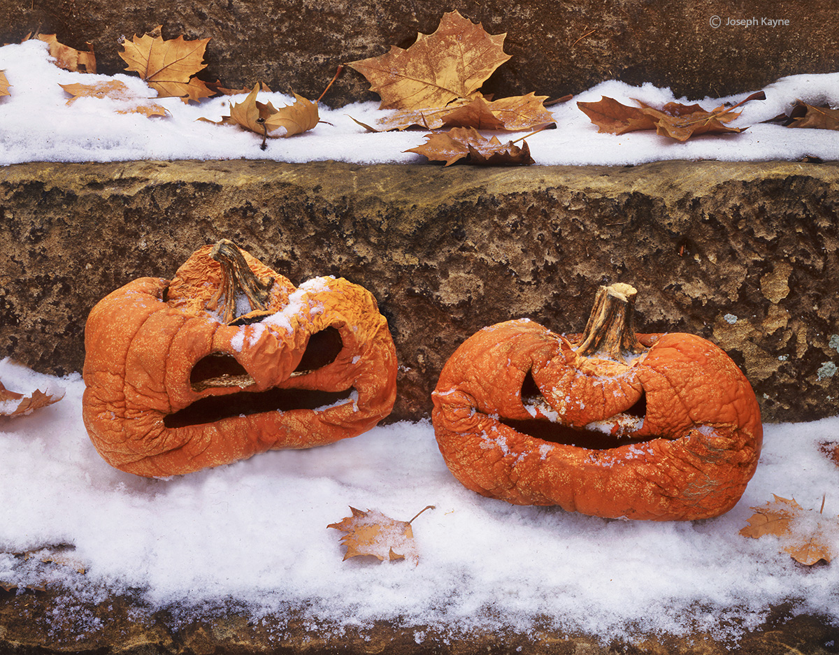 Frozen Pumpkins