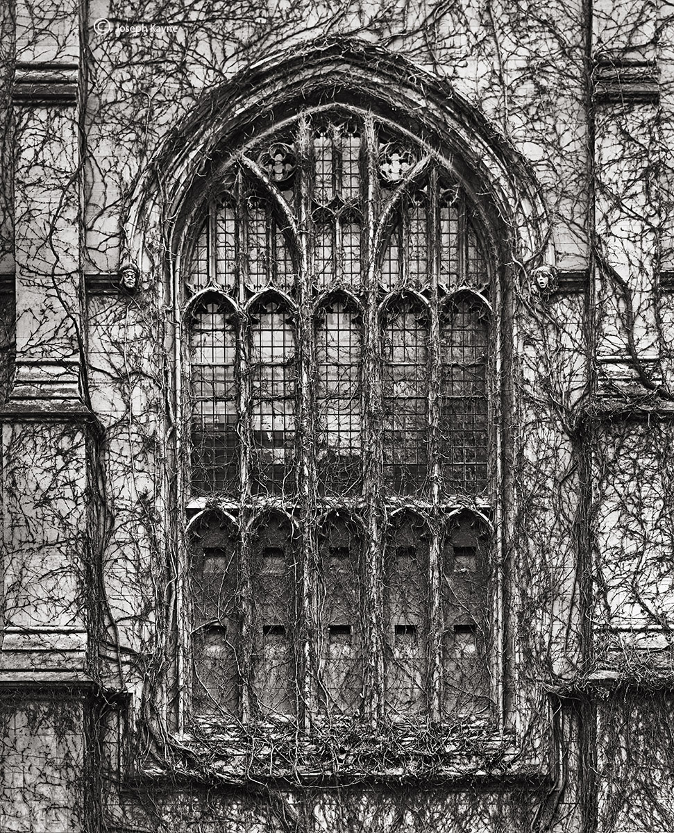 gothic, window, chicago, photo, architecture, building, university, of, hyde, park, illinois, art, large, format, black, white...