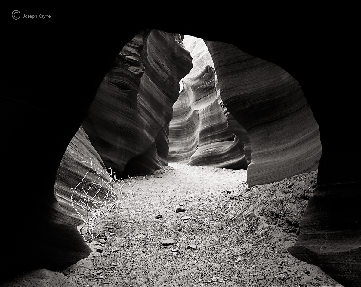 Navajo Sacred Lands
