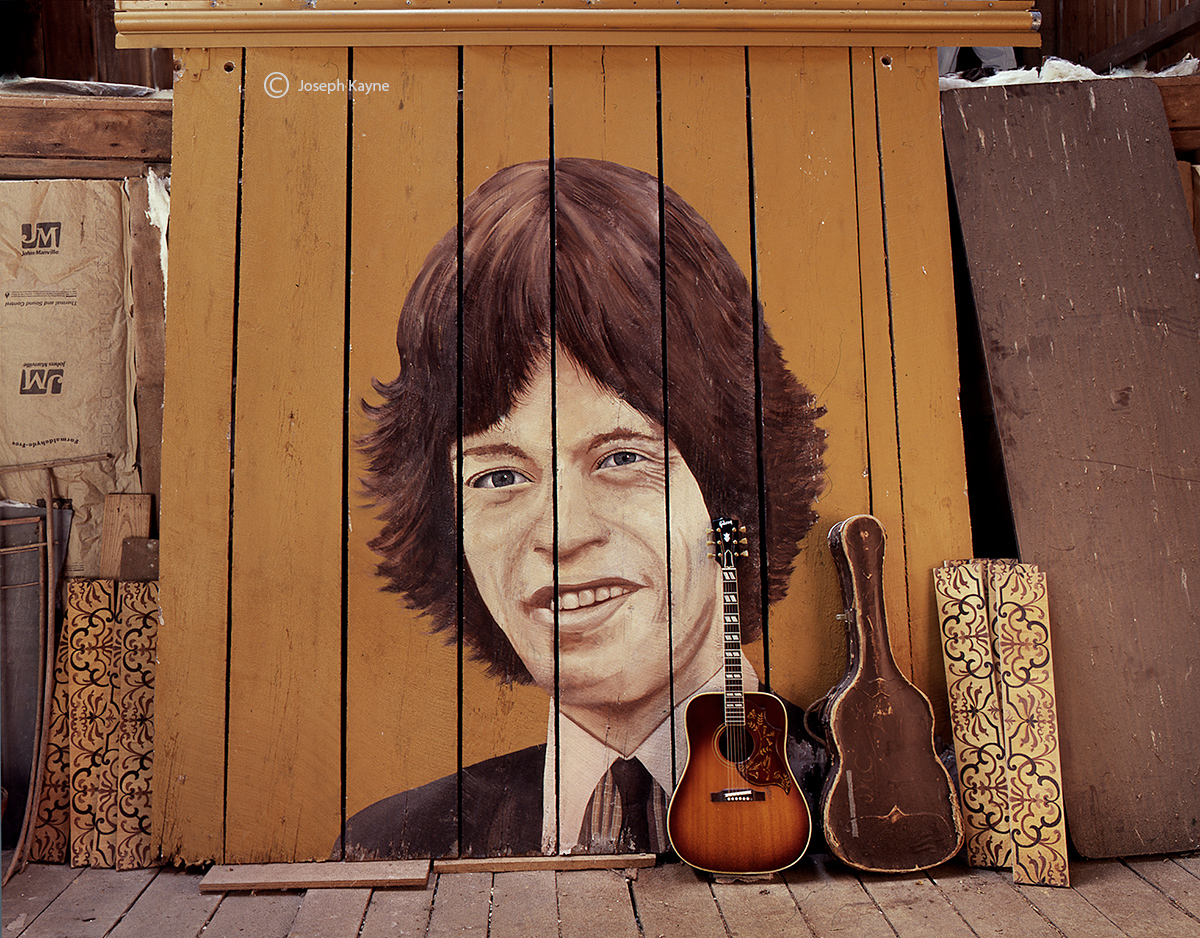 1960 Hummingbird &amp; Mick Jagger Barn Door Art