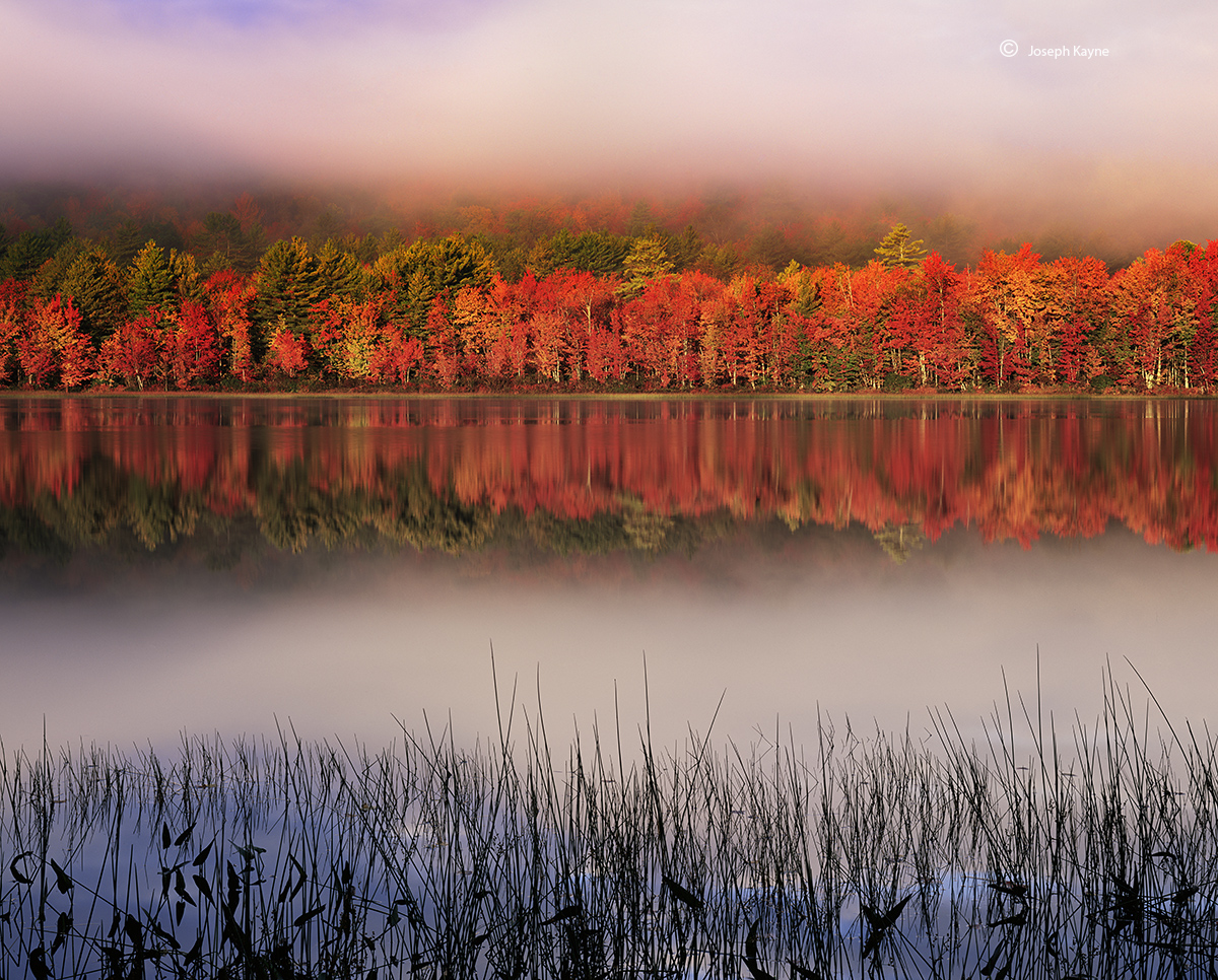 Clearing Fog At Sunrise Over A New Hampshire Pond