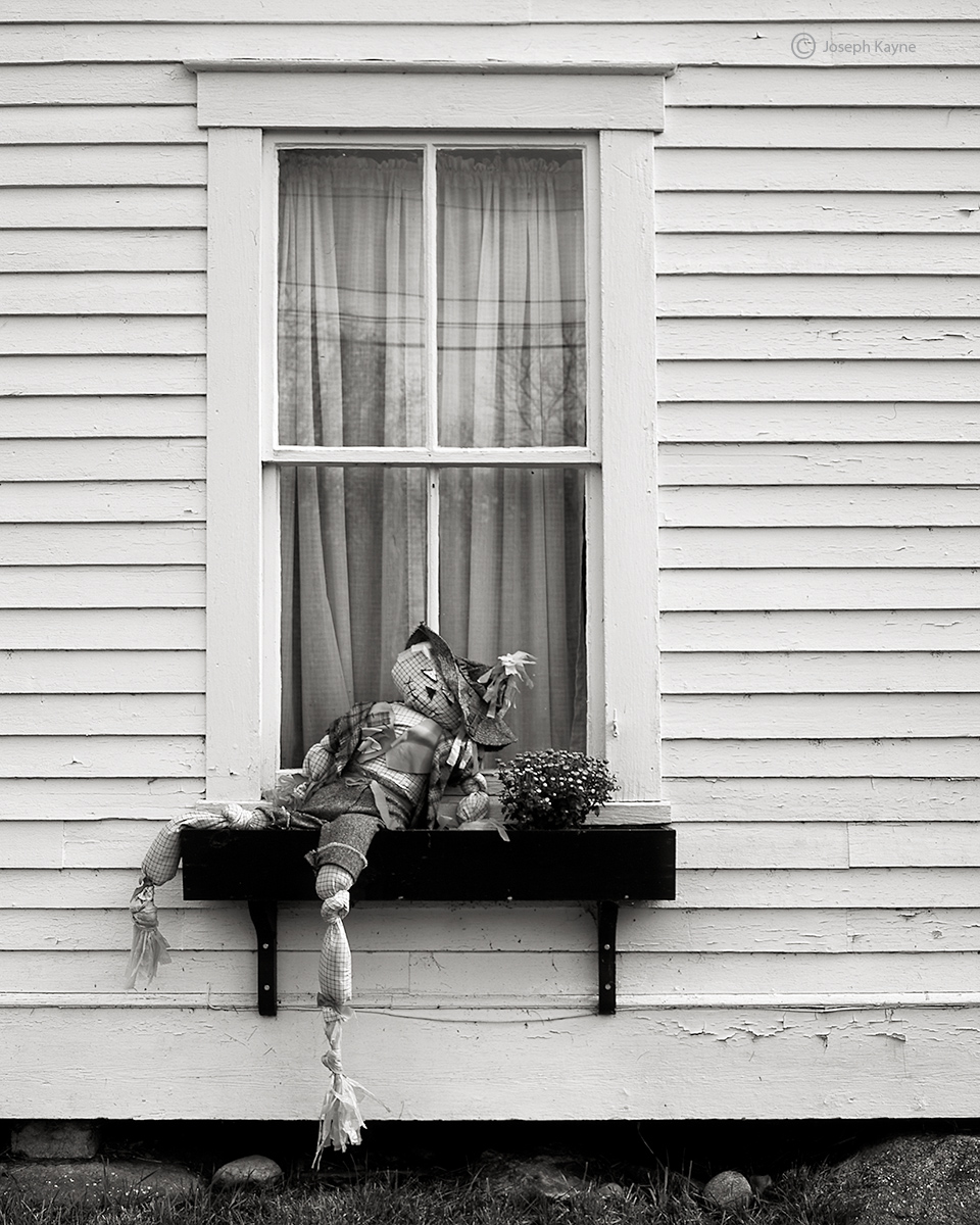New England Scarecrow
