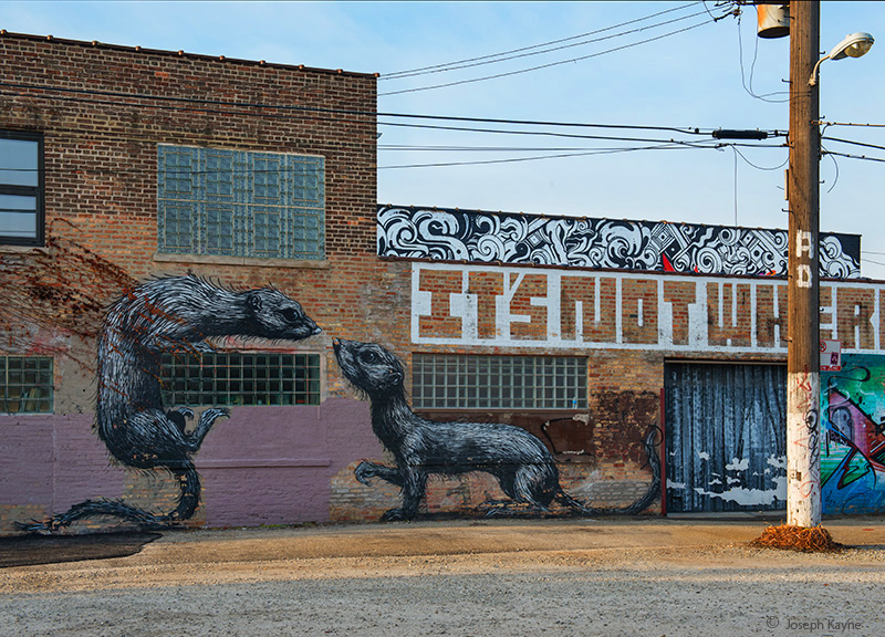 Roa Chicago Street Art