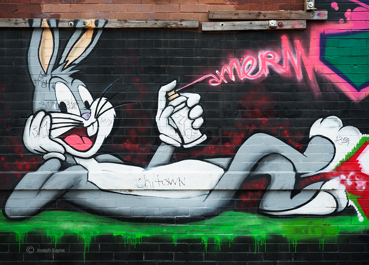Chicago Street Art &nbsp;
