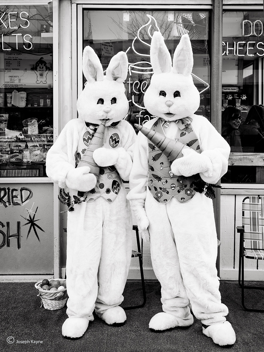 Chicago Easter Bunnies
