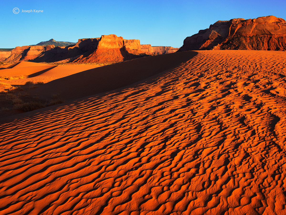 Ancient Sand Dunes In Navajoland