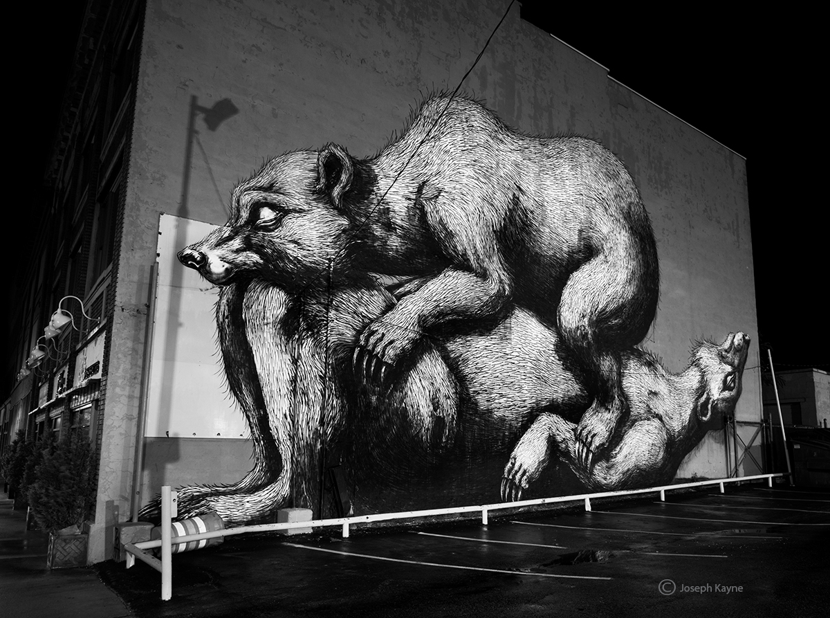 ROA Street Art At Night