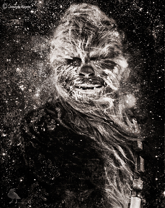 Chewbacca, The Pop Art Project