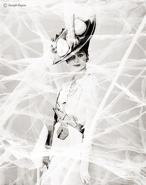 Audrey Hepburn, The Pop Art Project