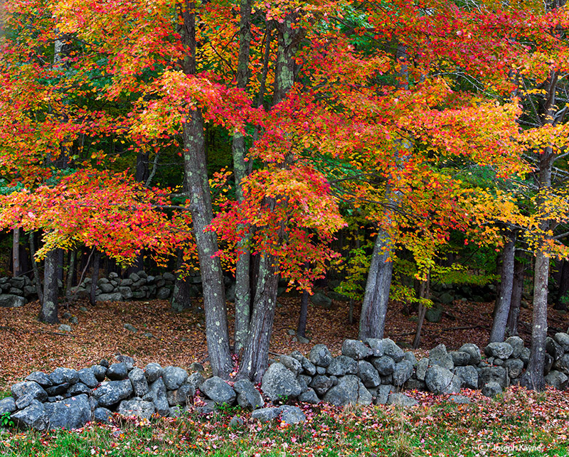 New England Countryside