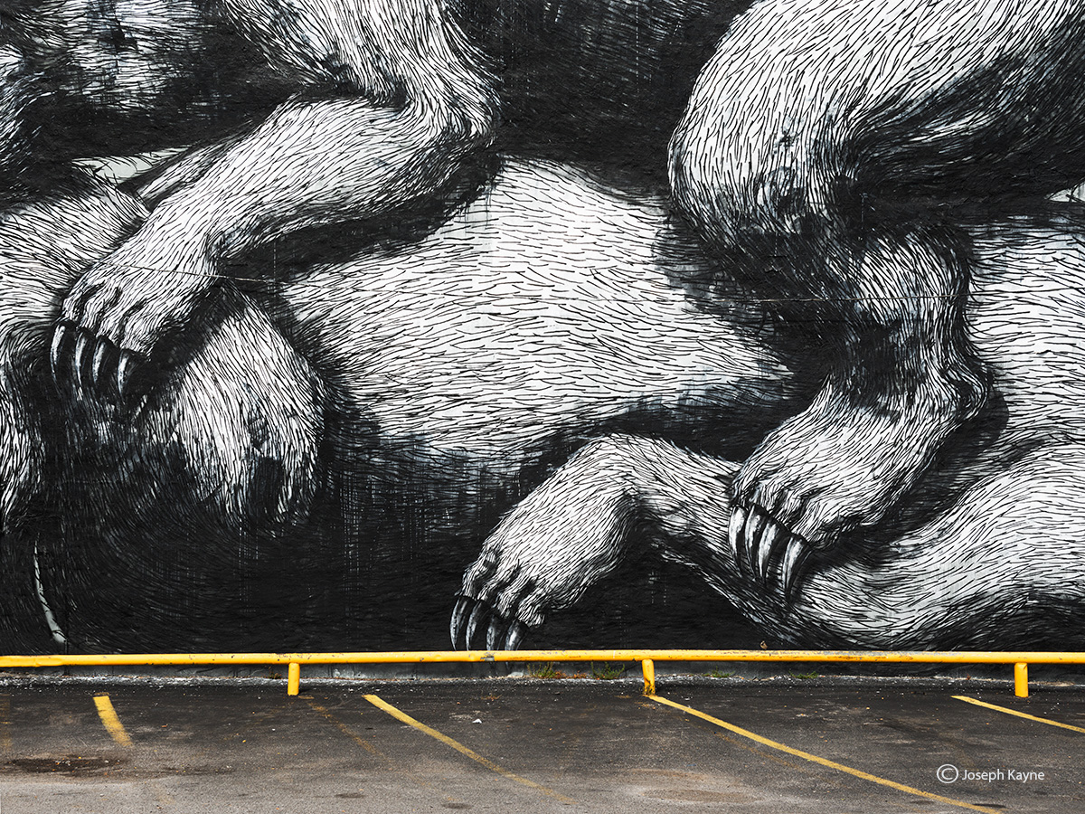 Detail Of Mural By ROA