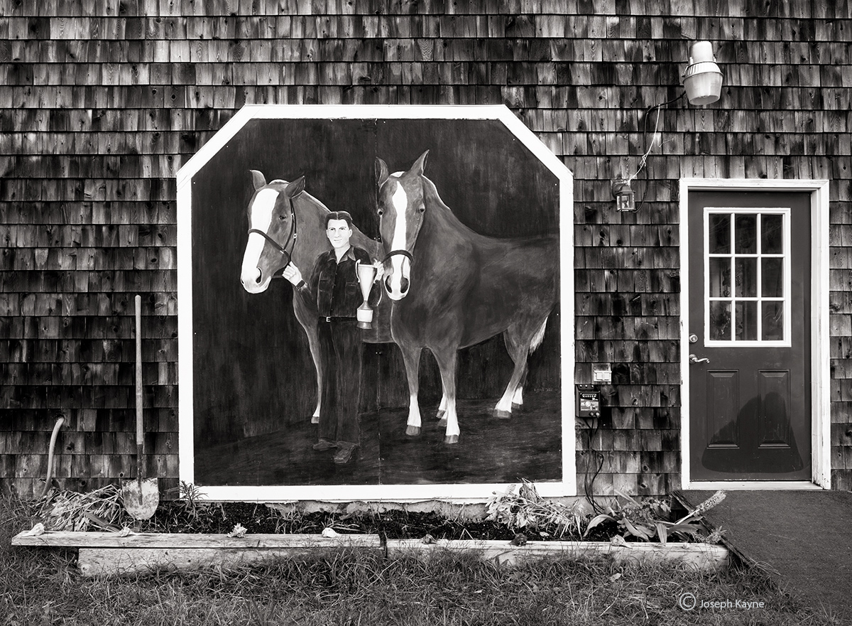 A Horse Mural Oversees A Maine Garden &nbsp;