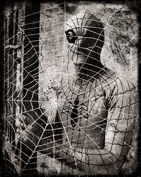 Spiderman, The Pop Art Project