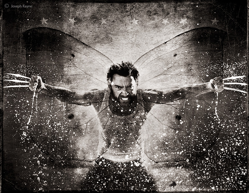 Wolverine, The Pop Art Project