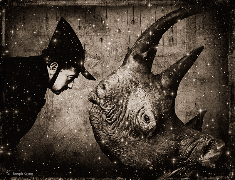 Salvador Dali &amp; Rhinoceros, The Pop Art Project