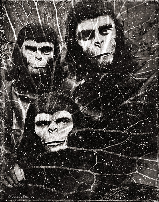 Planet Of The Apes, The Pop Art Project