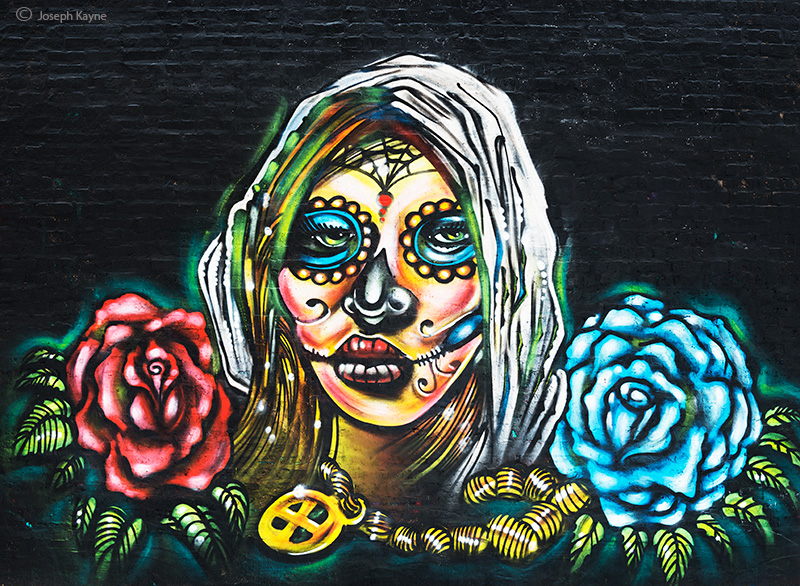 Day Of The Dead Street Art