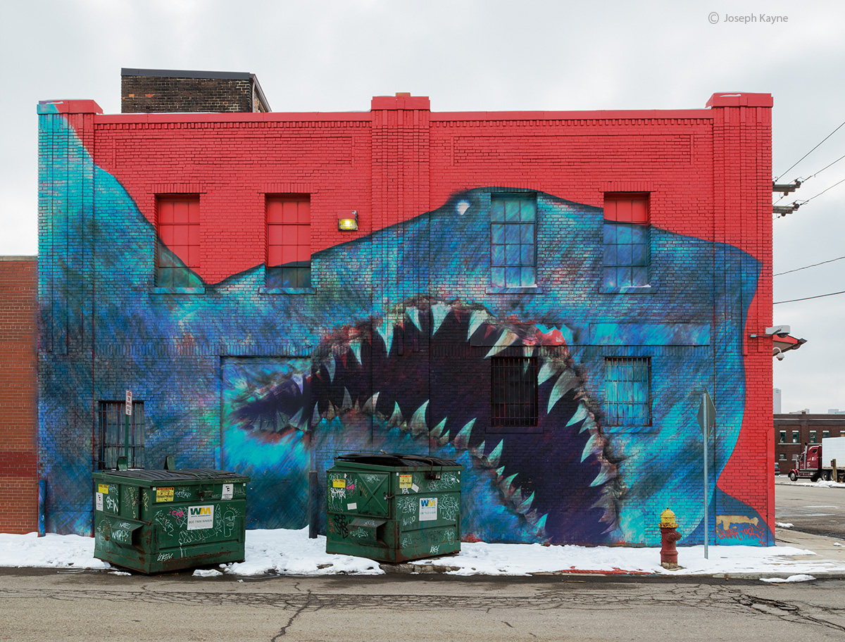 Street Art By Shark Toof