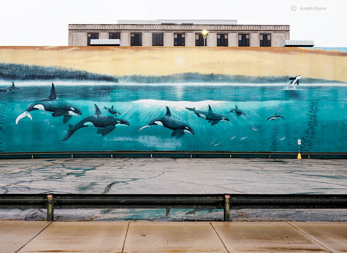 Orca Mural Parking Lot, By Wyland