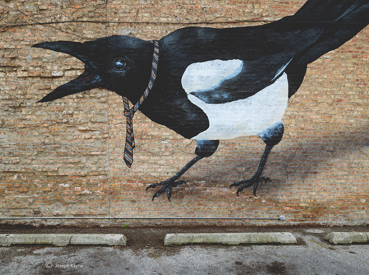 Bird Mural By Ella &amp; Pitr