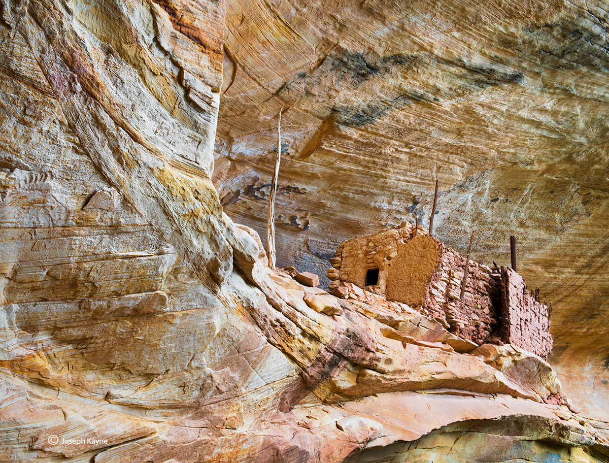 The Owl Dwelling. I was greeted by an owl on my way to this site.