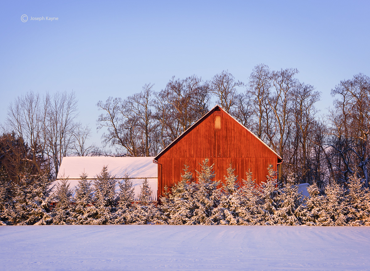 Red Barn, Christmas Morning, 2017