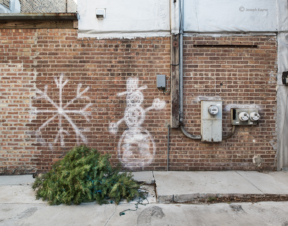 Abandoned Christmas Tree In A Chicago Alley