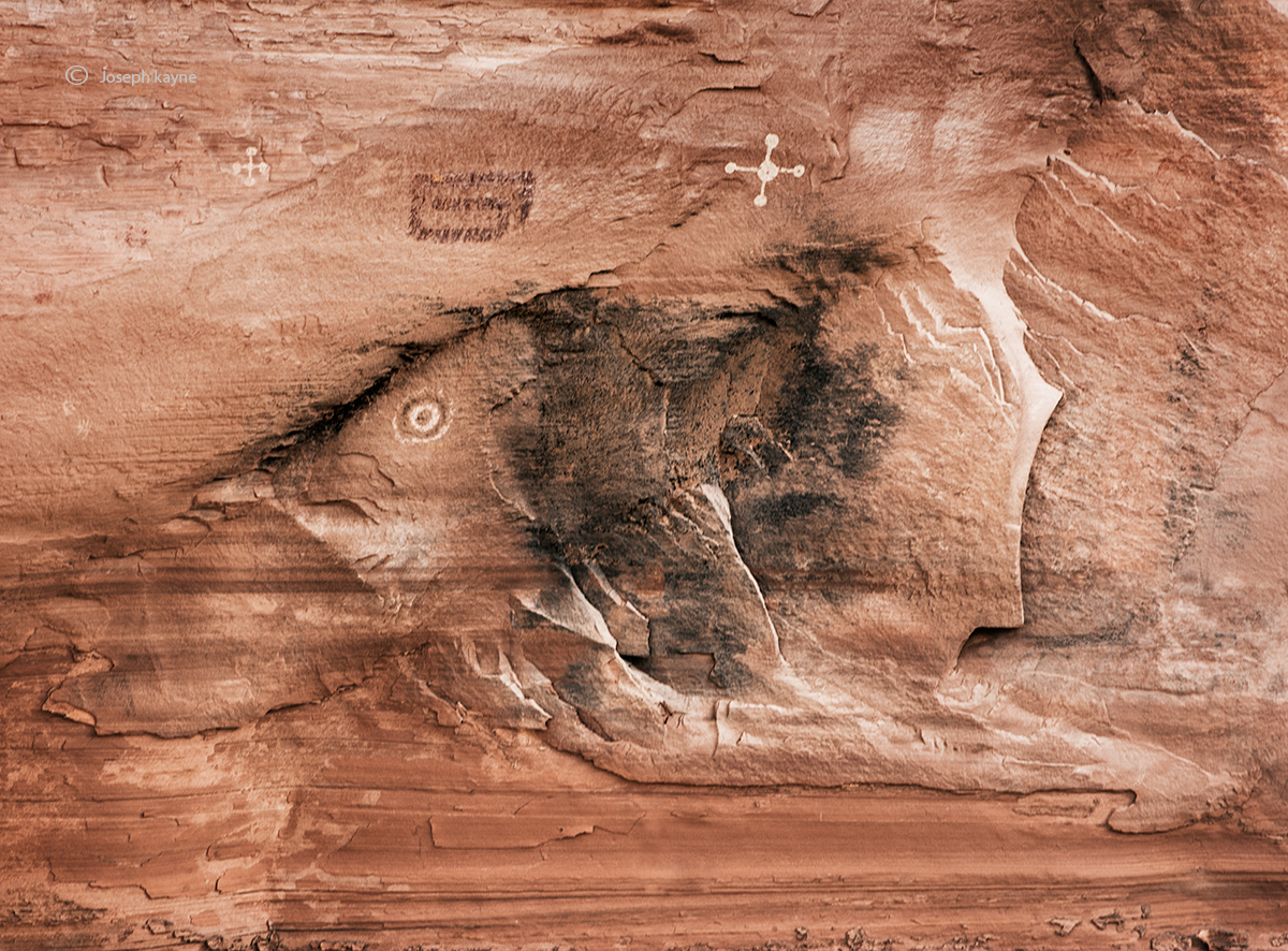 Anasazi Rock Art