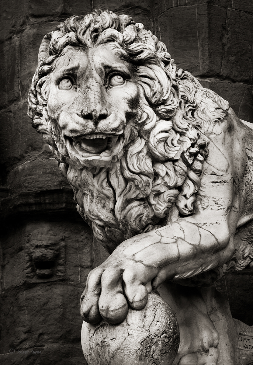 Lion Statue,Florence, Italy