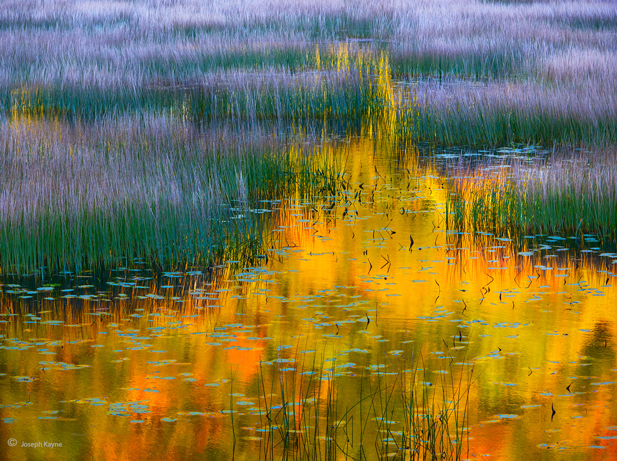 Glacial Tarn Reflection & Grasses