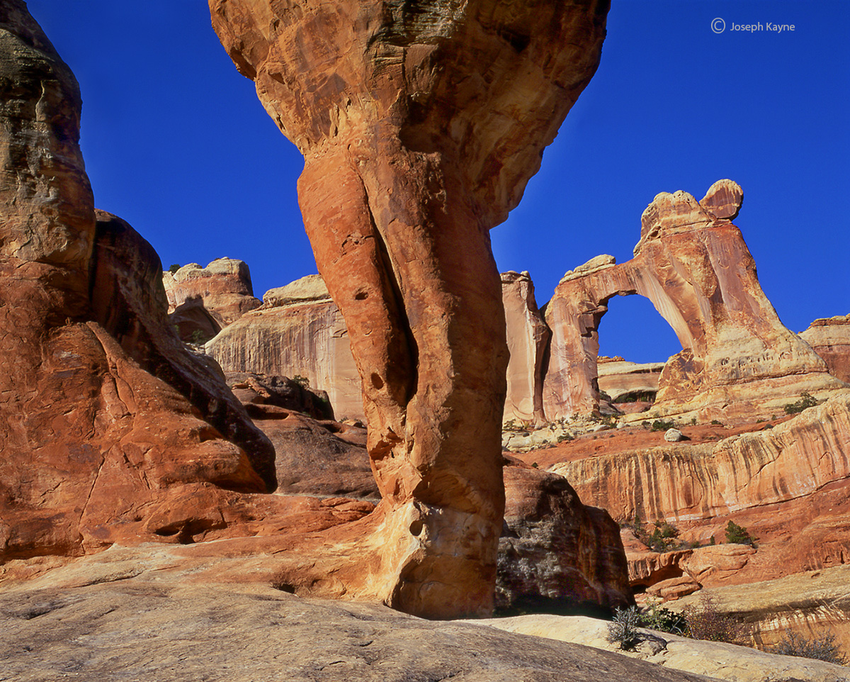 Slickrock Wilderness