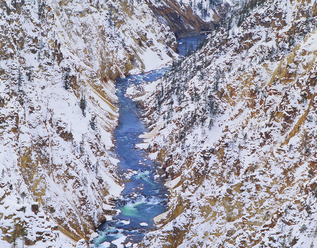 Winter, Yellowstone National Park